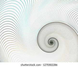 Abstract Fractal Spiral. Shell Background, Spiral Symmetry Fibonacci Shell Section. Half Cross, Golden Ratio Structure, Growth Close Up Pompilius Nautilus