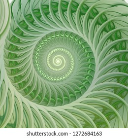 Abstract Fractal Spiral. Shell Background, Spiral Symmetry Fibonacci Shell Section. Half Cross, Golden Ratio Structure, Growth Close Up Pompilius Nautilus