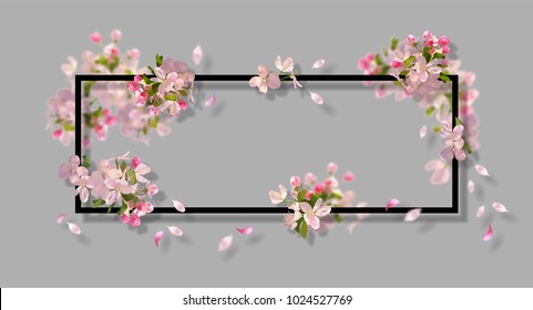Abstract frame with spring flowers. Gray background with spring cherry blossom, falling petals and blurred transparent elements