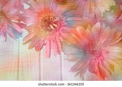 Abstract Gerbera flower on cement texture background,pastel tone style