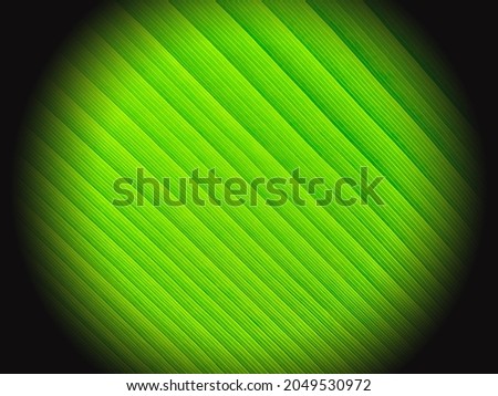Abstract green background with diagonal lines The side edges are all shades of black. Technology illustration.
With copy space.