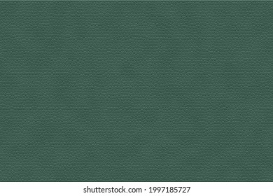 Abstract green leather texture background use for material design art work. Hunter green leather texture background. 库存插图