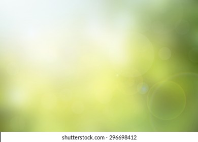 Abstract green nature blurred background with bright sunlight, flare and bokeh effect, blurry gradient backdrop for design element or presentation template in environment friendly concepts