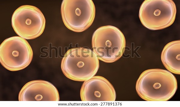 Abstract illustration of cells\
in mitosis and multiplication of cells for beauty and biology\
concept