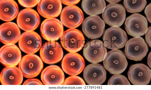 Abstract illustration of cells
in mitosis and multiplication of cells for beauty and biology
concept