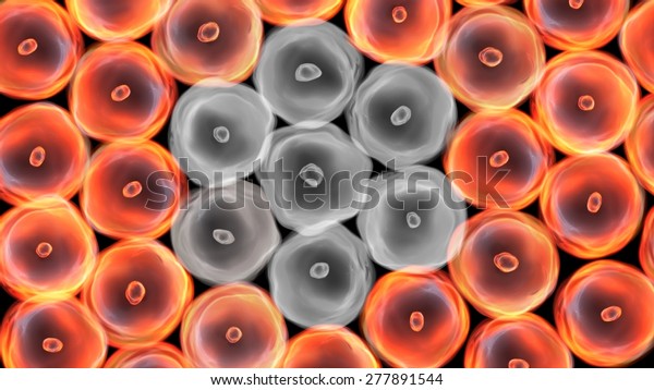 Abstract illustration
of cells in mitosis and multiplication of issue for represent virus
and healing
concept