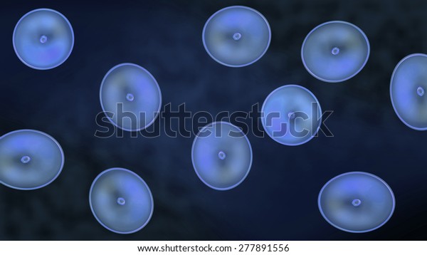 Abstract illustration of cells\
in mitosis and multiplication of cells for beauty and biology\
concept
