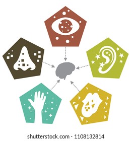 An Abstract Illustration Of The Five Senses With Simple Icons On An Isolated White Background