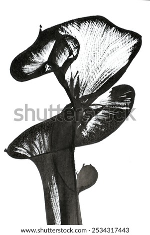 Similar – Image, Stock Photo blob Smeared Daub Patch