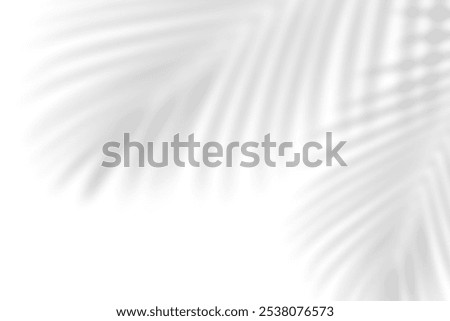 Abstract leaf shadow and light blurred background. Natural leaves tree branch shadows and sunlight dappled on white concrete wall texture for background wallpaper and design, shadow overlay effect