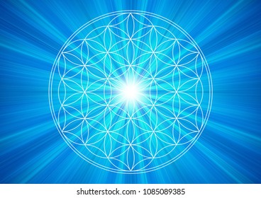 16,089 Flower of life mandala Images, Stock Photos & Vectors | Shutterstock