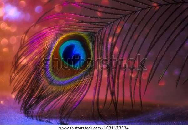 Abstract Macro Peacock Feather Blur Multicolored Stock Illustration ...