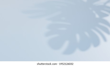 Abstract Monstera Leaf Tropical Big Leaf Shadow On White Wall