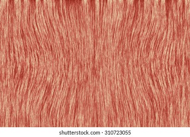 muscle texture