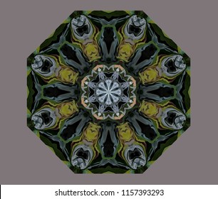 Abstract octagonal knot. the figure of the modified image Cineraria silver among the plants. Eight-sided ornament in natural colors of silver Cineraria among plants on a platinum-gray background.