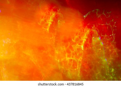 Abstract Orange And Red Background