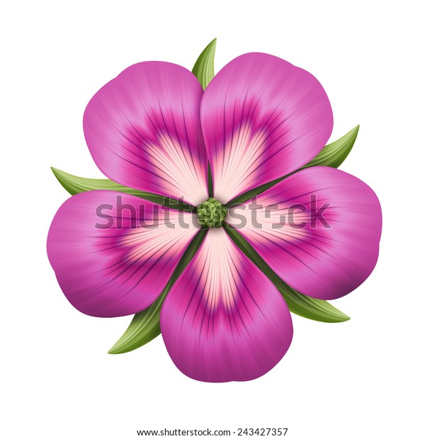 Abstract Pink Flower Illustration Isolated On Stock Illustration