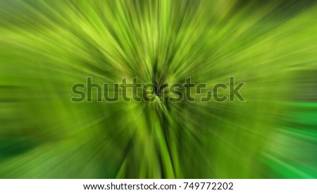 Image, Stock Photo spring shoots Environment