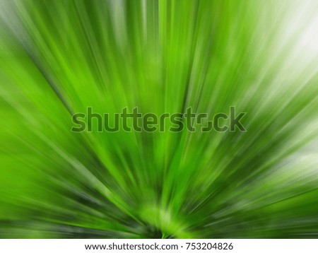 Similar – Image, Stock Photo spring shoots Environment