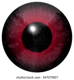 Red Eye Texture White Background Black Stock Illustration 1136054981 