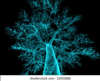 Abstract Rendering Of A Tree Or Neuron Like Structure.