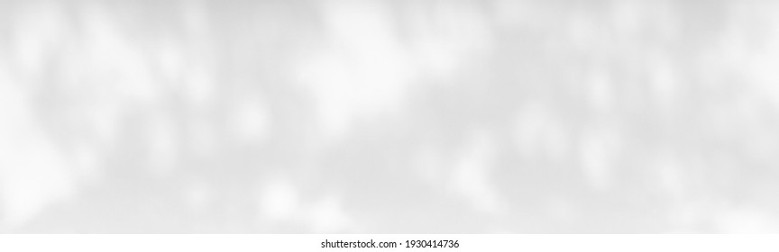 Abstract Shadow Of The Leaves On White Background