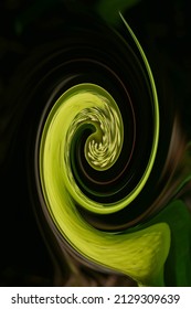 Abstract Of Skunk Cabbage ( Symplocarpus Foetidus ) With A Foul Odor, Florence, Pacific Coast In Oregon