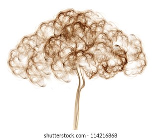 Abstract Smoke Tree  Isolated On White