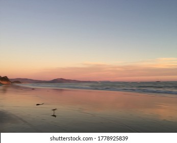 Abstract Sunset Background Painting, Bird Shadow, Pink Sunset, No Sun, Pink Clouds, Empty Beach, Tranquil, Peaceful, Calm Evening In Santa Barbara, California, USA. Small Waves, Mountains