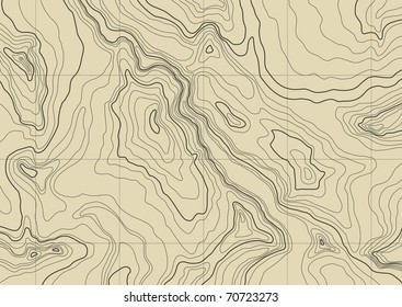 Abstract Topographic Map In Brown Colors