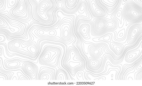 Abstract Topographic Pattern In Black And White. Topographic Map Background. Business Concept.