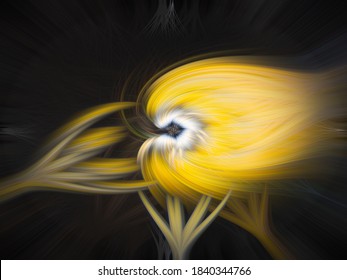 Abstract twirl effect of landscape