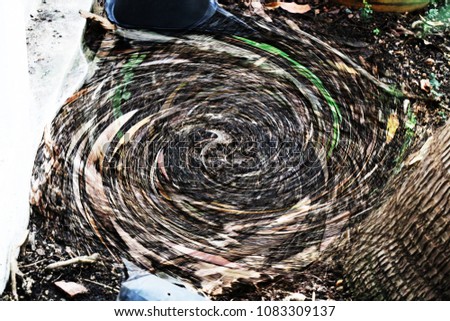 Similar – Image, Stock Photo hide and seek Environment