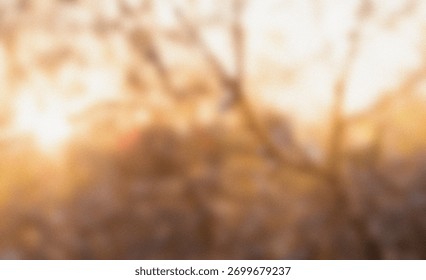 Abstract warm light creating soft bokeh and warm glow