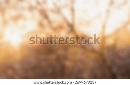 Abstract warm light creating soft bokeh and warm glow