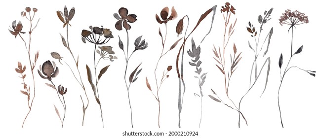 Abstract Watercolor Autumn Flower Set. Herbarium In Boho Style. Field Fall Flowers. Frame Fall Flowers.