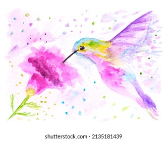 Abstract watercolor painting wild hummingbird and single pink flower white