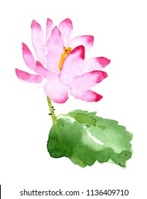 Abstract waterlily flower watercolor illustration. Chinese painting floral background. Hand drawn nature botanical sketch for greeting card design, print, poster, banner, label. Hi-res raster image. 