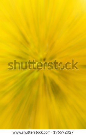 Similar – Spring meadow with blooming dandelion and lush green grass in the sunshine