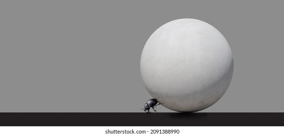 Abstraction, dung beetle rolls a concrete ball on an isolated gray background. 3D image 