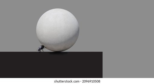 Abstraction, dung beetle rolls a concrete ball on an isolated gray background. 