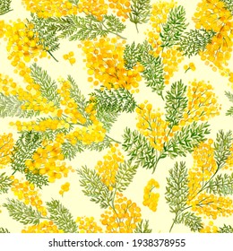 Acacia Dealbata, Silver Wattle, Mimosa, Yellow Fluffy Flowers.Spring Seamless Pattern. Cosmetic, Perfumery And Medical Plant. 