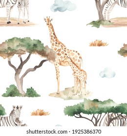 Acacias And Dry Grass On A White Background. Watercolor Seamless Pattern Of Mom And Baby Giraffes, Zebras In The African Savannah