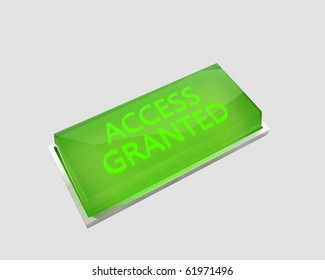 ACCESS GRANTED button