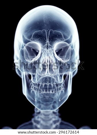 Similar – Image, Stock Photo Primate skull Primacy