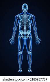 Accurate Xray Of Posterior View Of Full Human Skeletal System With Adult Male Body Contours 3D Rendering Illustration. Medical, Healthcare, Anatomy, Osteology, Science Concept.