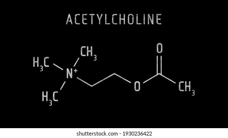 Acetylcholine Or ACh Molecular Structure Symbol Sketch Or Drawing Animation On Black Background