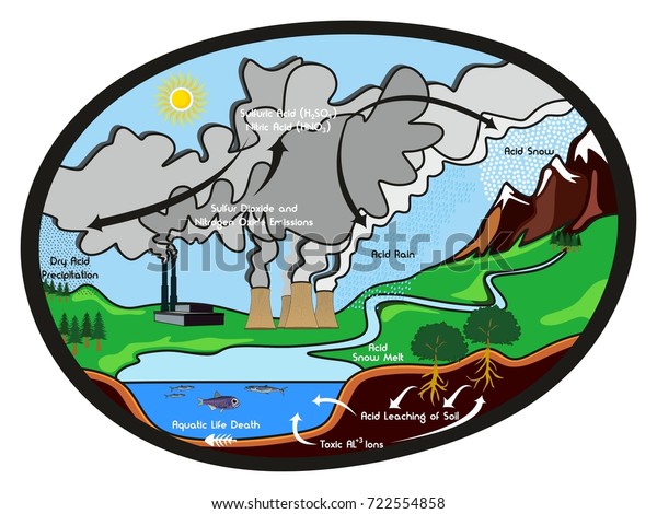 Acid Rain Infographic Diagram Showing Formation Stock ... flow diagram of acid rain 