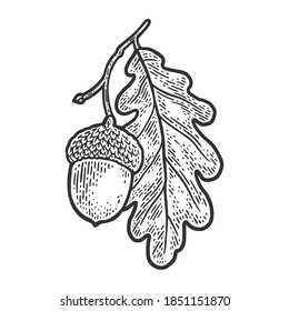 acorn with oak leaf sketch engraving raster illustration. T-shirt apparel print design. Scratch board imitation. Black and white hand drawn image.