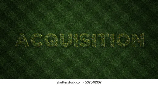 ACQUISITION - Fresh Grass Letters With Flowers And Dandelions - 3D Rendered Royalty Free Stock Image. Can Be Used For Online Banner Ads And Direct Mailers.
